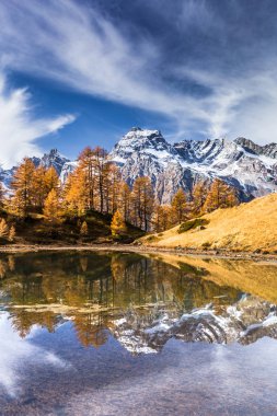 Autumn in the alps ( Alpe Devero ) clipart