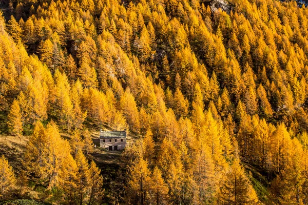 Podzim v Alpách (Alpe Devero ) — Stock fotografie