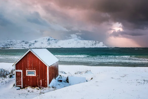 Rorbu rouge traditionnel sur une plage des îles Lofoten, Norvège — Photo