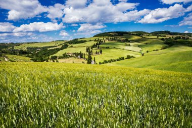 Ünlü selvi yol Pienza yakınında Monticchiello küçük kasabasında countryside(Val d'Orcia), İtalya