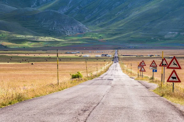 Castelluccio in einem blühenden Mohnfeld, Italien — Stockfoto