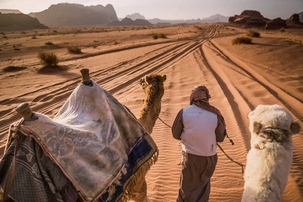 Caravana Camel care călătorește în Wadi Rum, Iordania — Fotografie, imagine de stoc