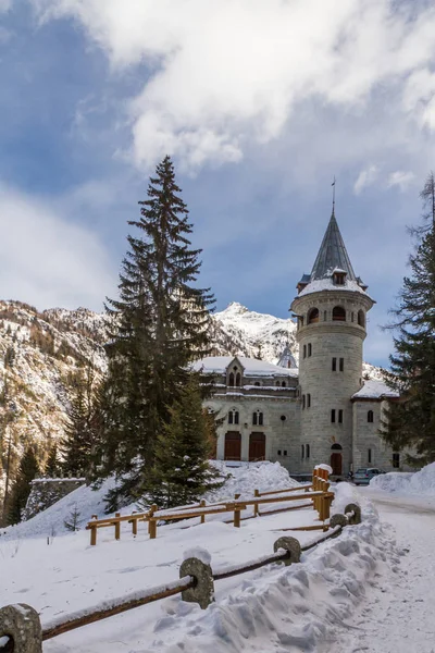 Salgueiro Frente gentiana do castelo de Saboia em Gressoney-Saint-Jean no Piemonte — Fotografia de Stock