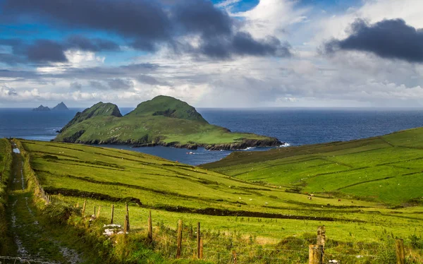 Skellig Islands Puffin Island County Kerry Ireland Europe — Stock Photo, Image