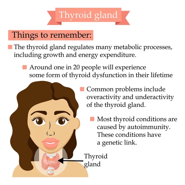 Medical banner with anatomy of people and a description of the disease. Thyroid gland. vector illistration. — Stock Vector