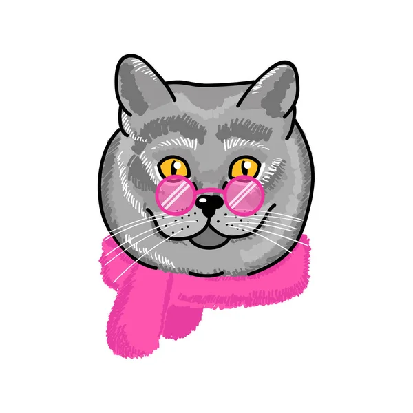 Vectorillustratie Van Een Britse Kat Een Modieuze Bont Sjaal Roze — Stockvector