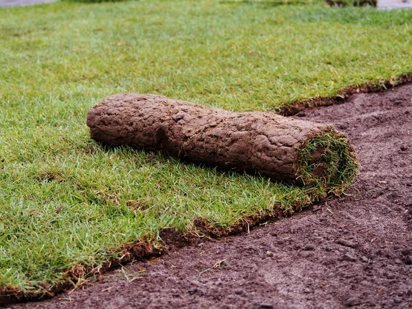 Darń trawy rolki — Zdjęcie stockowe