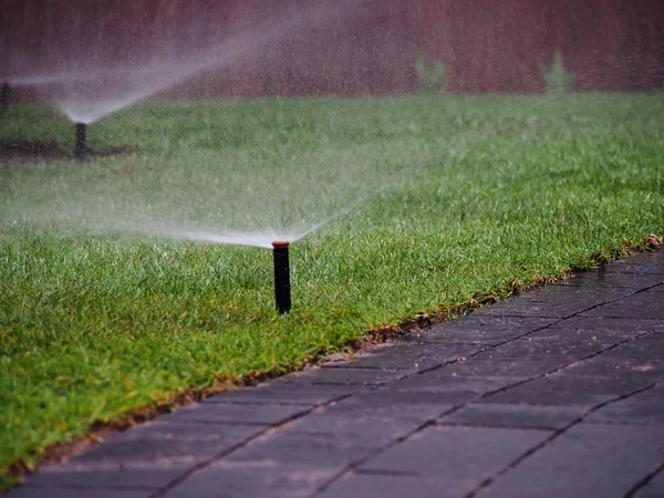 Tuin irrigatie - werkende sprinkler — Stockfoto