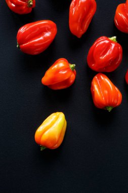 Habanero biber siyah bir zemin üzerine