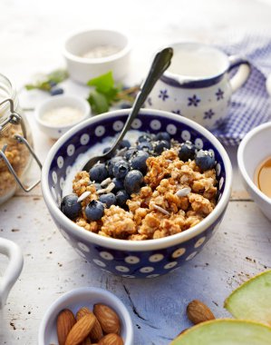 Granola ile doğal yoğurt, taze yaban mersini, fındık ve bal bir seramik kase. Lezzetli kahvaltı ya da tatlı. Sağlıklı beslenme kavramı.