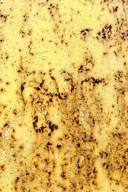 eski paslı demir kırık boya portre ile alan