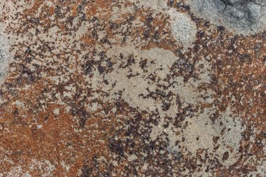 eski paslı demir closeup arka planı olarak görüntüleme