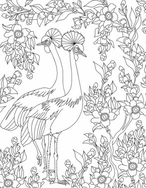 hayvan boyama sayfası