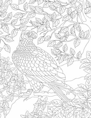 hayvan boyama sayfası