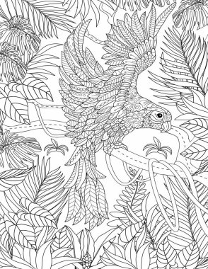 hayvan boyama sayfası