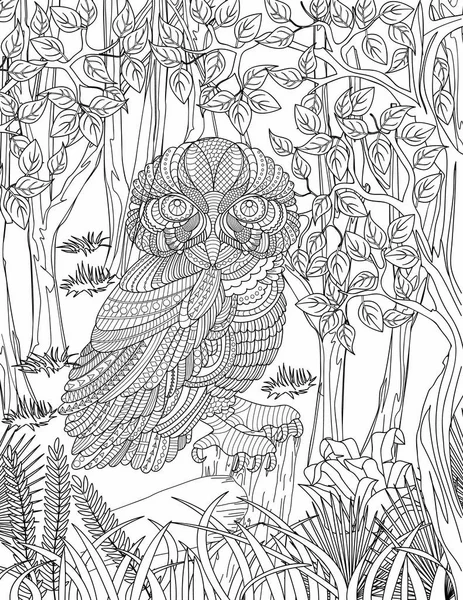 hayvan boyama sayfası