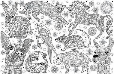 hayvan boyama sayfası