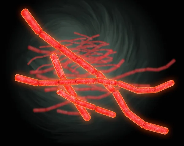 İnsan Bacillus Sereus 'un çizimi