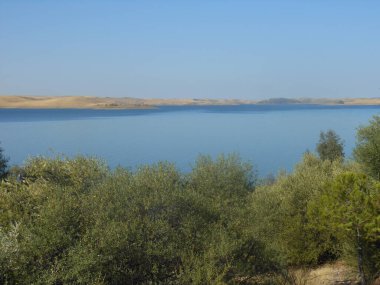 Serenat bataklığının güzel manzarası.