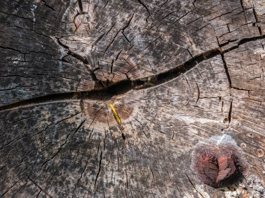 Ahşap arkaplan. Grounge tarzı kullanışlı bir arka plan. Yatay görünüm