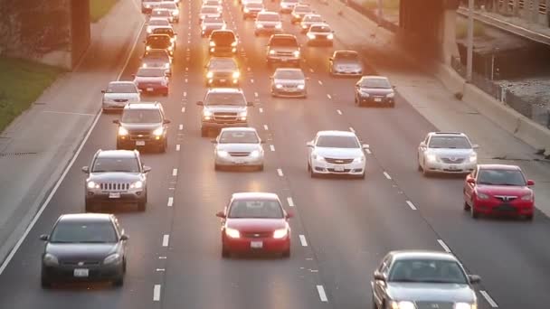 Veel auto's op snelwegen in Chicago verkeer — Stockvideo