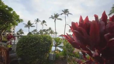 lüks resort montaj kapalua tropikal doğa arka plan üzerinde ve okyanus ada Maui, hawaii havuzu yakınındaki alanında rahatlayın