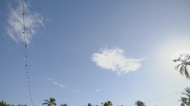 çekici resim mavi gökyüzünün ve palmiye ağaçlarının üst kısımları islsna Maui, hawaii hyatt resort