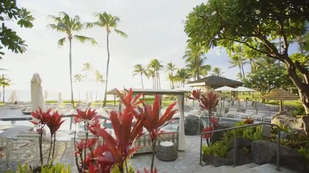 Hermosa zona de relax cerca de la piscina de lujo de montaje resort kapalua con maravillosos árboles y plantas en maui, hawaii — Vídeo de stock