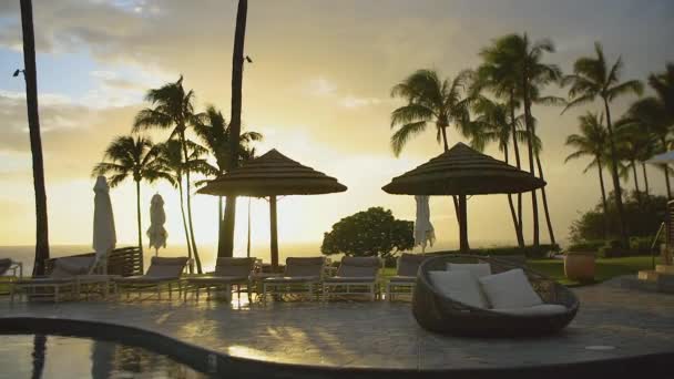 Deslumbrante imagem da piscina de luxo e relaxe a área entre a natureza exótica da montagem resort kapalua ao pôr do sol em maui, hawaii — Vídeo de Stock