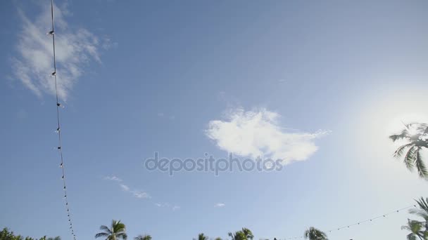 Привлекательная картина голубого неба и вершины пальм на курорте Hyatt на острове Мауи, Гавайи — стоковое видео