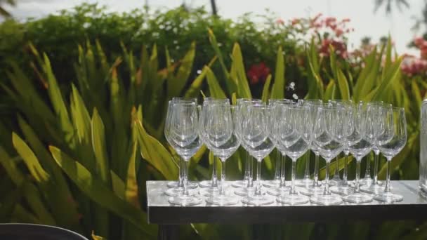 Töm glasögon för champagne på bordet på bakgrunden av gröna växter, resort hyatt, ön maui, hawaii — Stockvideo