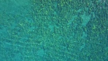 Kristal yeşil-mavi su Mercan Adası Maui, hawaii ile güzel yakın çekim