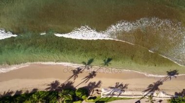 ada maui, hawaii egzotik ağaçlar sahil şeridine yakın dalga patlama ile heyecan verici Okyanusu güzel fotoğraf