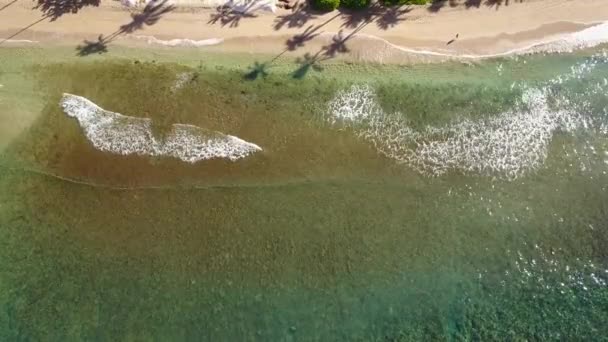 Spiaggia pulita vicino al resort hyatt con la natura esotica e la riva dell'oceano con acqua cristallina sulla vista degli uccelli, isola maui, hawaii — Video Stock