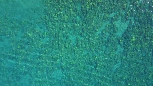 Bellissimo colpo ravvicinato di cristallo verde-blu acqua con coralli in isola maui, hawaii — Video Stock