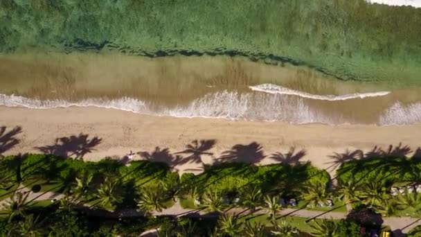 Lujosa playa de isla maui, hermosas aguas del océano y la naturaleza de hadas en la vista de los pájaros, hawaii — Vídeo de stock