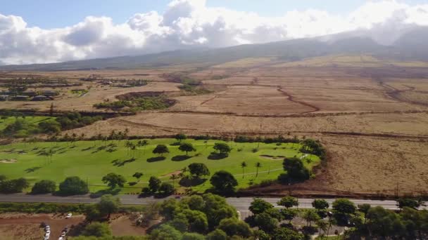 Vulkanische landschappen in de buurt van bergen mauna loa met actieve krater en weinig cellen van exotische natuur onder bewolkte hemel op eiland maui, Hawaï — Stockvideo