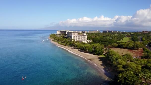 Hyatt resort bonito na ilha maui, hawaii entre a bela natureza na costa do oceano pacífico — Vídeo de Stock