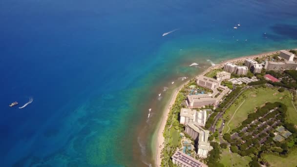 Vue aérienne sur l'océan Pacifique, luxueux hôtel hyatt sur le littoral et la merveilleuse nature de l'île maui, hawaii — Video