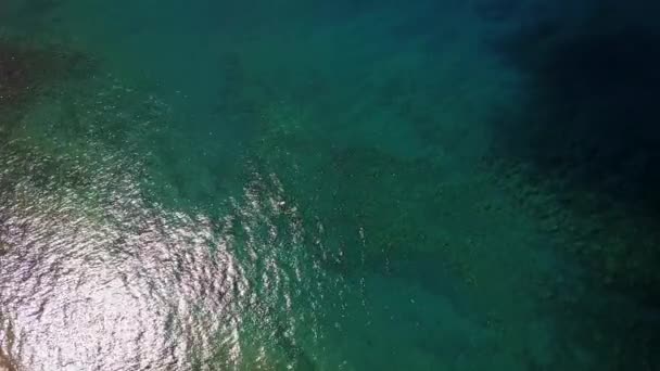 Beautiful picture of crystal blue water with corals of pacific ocean on island maui,hawaii — Stock Video