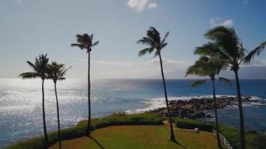 Pasifik Okyanusunda ada Maui, hawaii arka plan üzerinde güzel tropikal kıyısında altı avuç içi