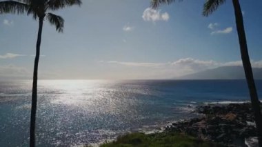 Maui, hawaii güneşli mavi okyanus sahil şeridi üzerinde iki avuç içi
