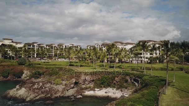 Palm Πανόραμα πάρκο κοντά σε το πιο διάσημο θέρετρο Καπαλούα μοντάζ στην ακτή κάτω από ουρανό με σύννεφα σε maui, Χαβάη — Αρχείο Βίντεο