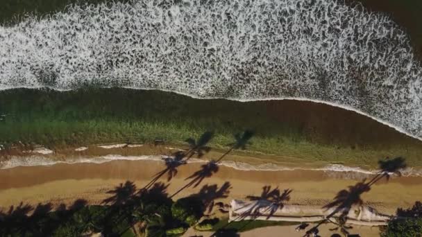 Berstende Welle am sauberen Sandstrand in der Nähe des Resorts mit tropischer Natur auf Maui, Hawaii — Stockvideo