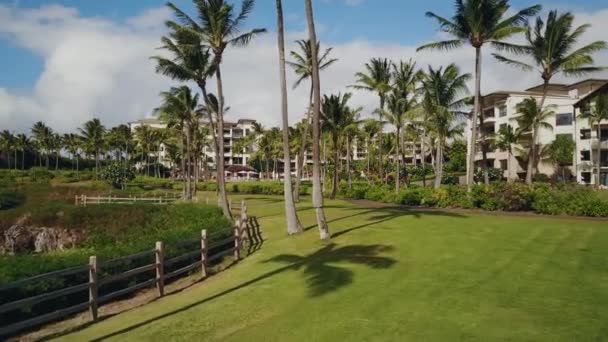 Palmeras panorama cerca de maravilloso complejo tropical montaje kapalua en la luz del día en maui, hawaii — Vídeo de stock
