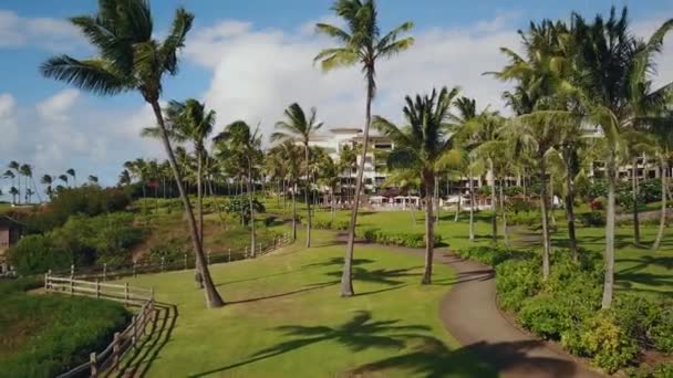 Pintoresco paisaje de callejón palmeras, hermosas pistas que conducen al montaje de moda resort kapalua en maui, hawaii — Vídeos de Stock