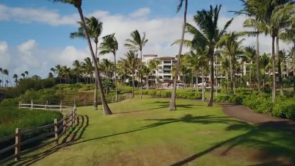 Krásný obrázek palem, trasy mezi nimi a tropický resort montage kapalua oblíbeným místem k odpočinku pro hollywoodské hvězdy na maui, Havaj — Stock video