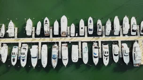 Luchtfoto van boten en kleine jachten aangemeerd de pieren in miami, sunny isles beach — Stockvideo