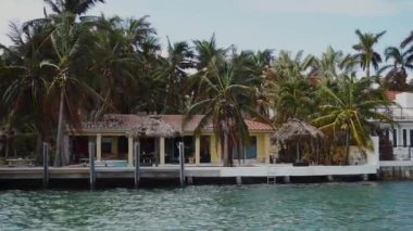defne, sunny Isles beach, miami sahilinde harika palmiye ağaçlarının arasında güzel rahat ev