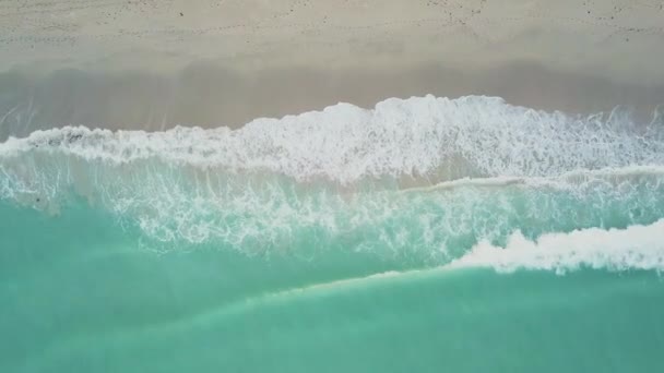 Sobrevoe as águas onduladas do oceano turquesa perto da costa arenosa branca na praia ensolarada das ilhas, miami — Vídeo de Stock